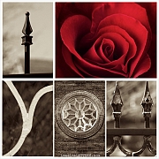 Wall_Art_Alphabet_Photography_Art_ 907